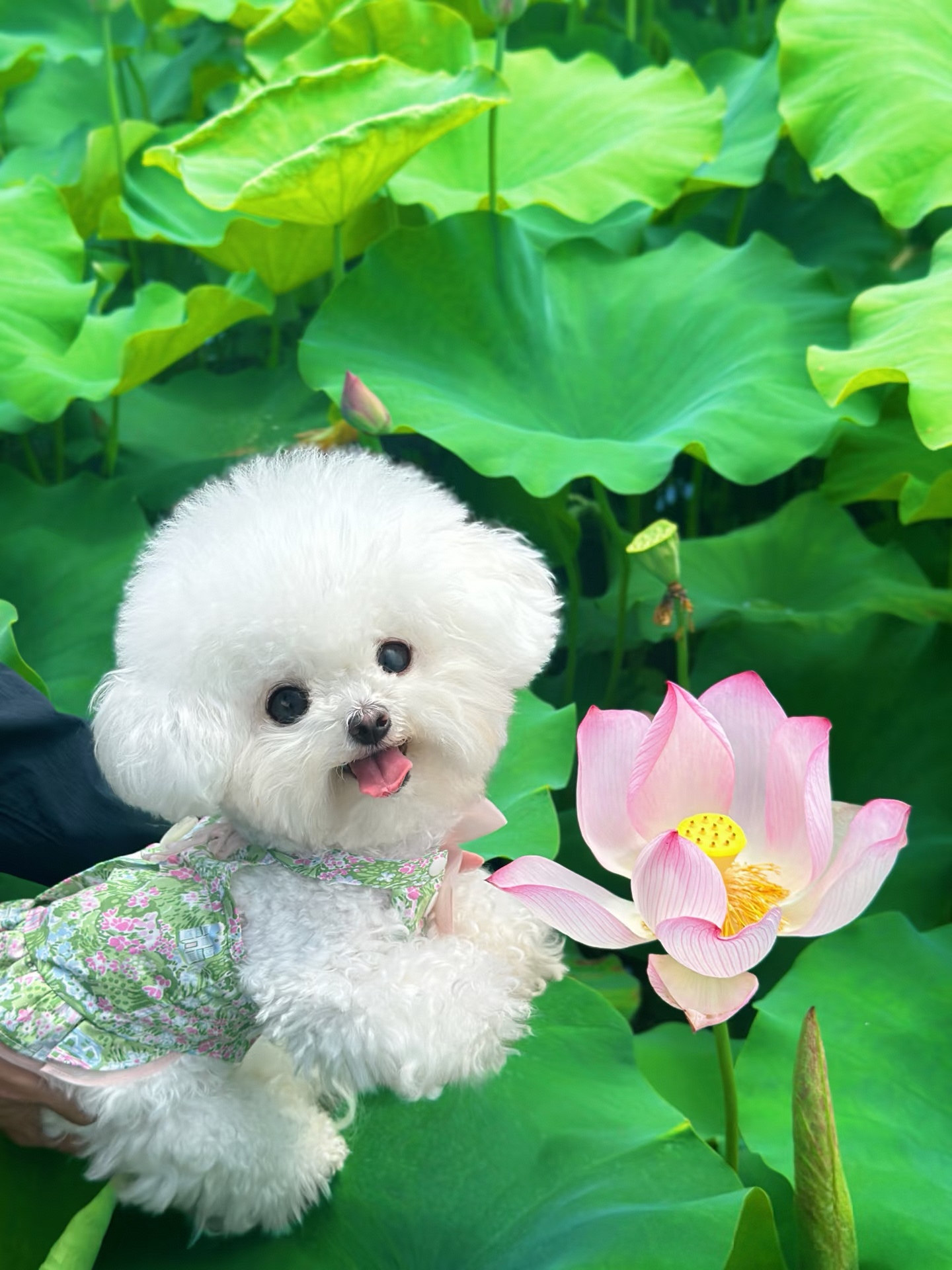 飞*